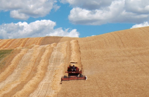 Politiche regionali per la creazione di nuove imprese e impatto sull’ecosistema startup della Toscana Politiche regionali per la creazione di nuove imprese e impatto sull’ecosistema startup della Toscana