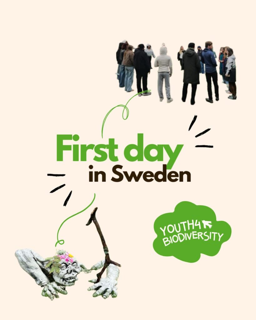 Youth4Biodiversity – Primo giorno in Svezia!!!