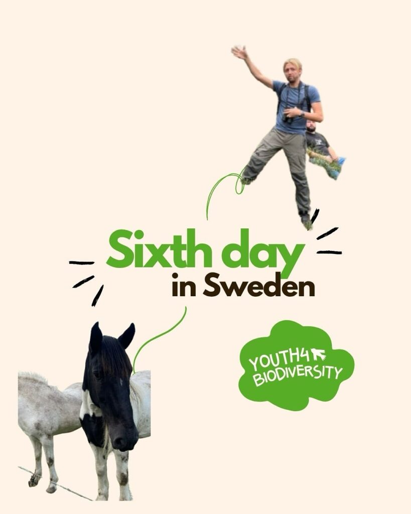 Youth4Biodiversity – Il sesto giorno della prima tappa in Svezia!
